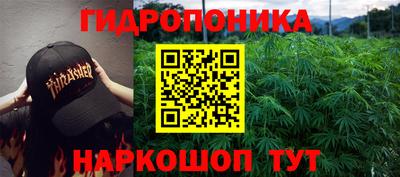 крисы Краснодар