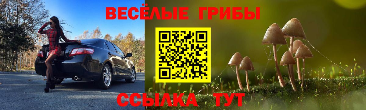 Железногорск  Псилоцибиновые грибы Psilocybine cubensis  сколько стоит  Вход с VPN  Галлюциногенные грибы Psilocybe 
